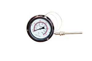 不銹鋼軸向溫度計