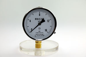 膜盒壓力表