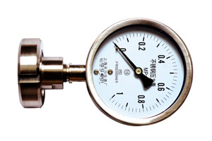 螺母型隔膜壓力表