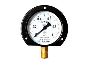 徑向帶后邊壓力表