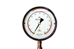 耐震精密壓力表